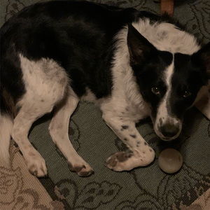 Meet your Posher, Becky